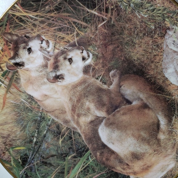 Bundle Bradford Exchange Carl Brenders "A Family Affair" plates bundle of 2 - Picture 6 of 7